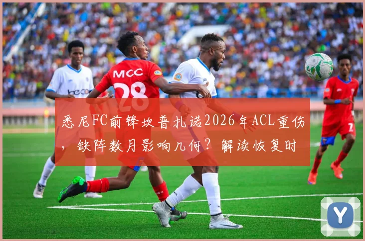 悉尼FC前锋坎普扎诺2026年ACL重伤,缺阵数月影响几何?解读恢复时间、潜在替代者与足坛类似案例