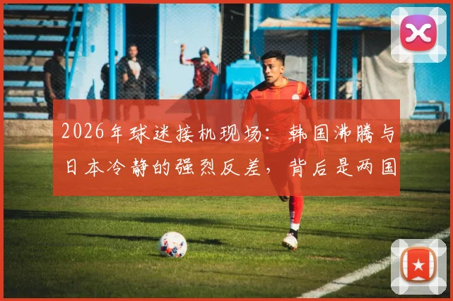 2026年球迷接机现场：韩国沸腾与日本冷静的强烈反差，背后是两国文化的真实投射